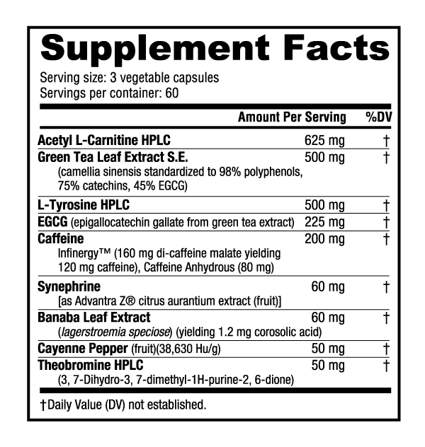 Thermo Fuel V.9
